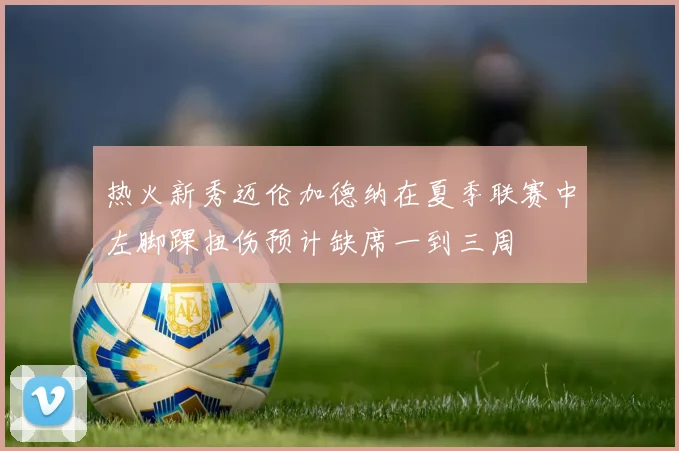热火新秀迈伦加德纳在夏季联赛中左脚踝扭伤预计缺席一到三周